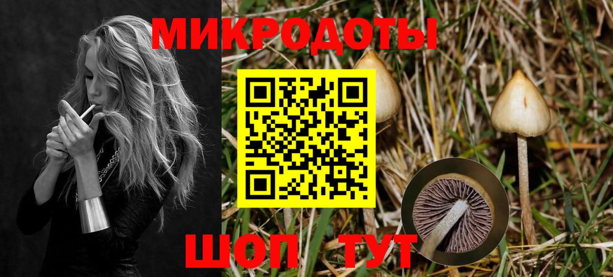 Галлюциногенные грибы Psilocybine cubensis Ухта
